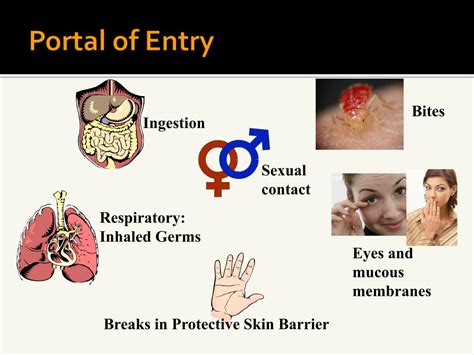 Portal of entry Word Hike [ Answer ] .